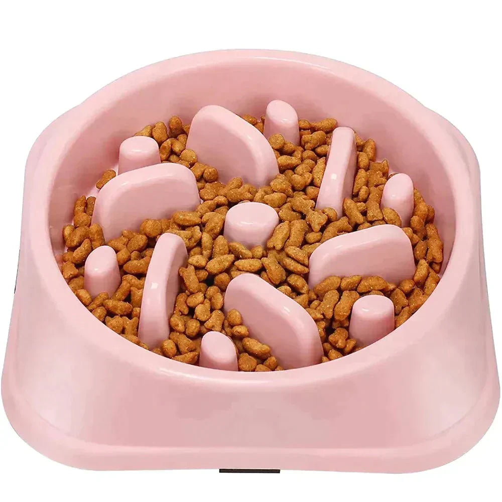 Pet Slow Feeder Bowl