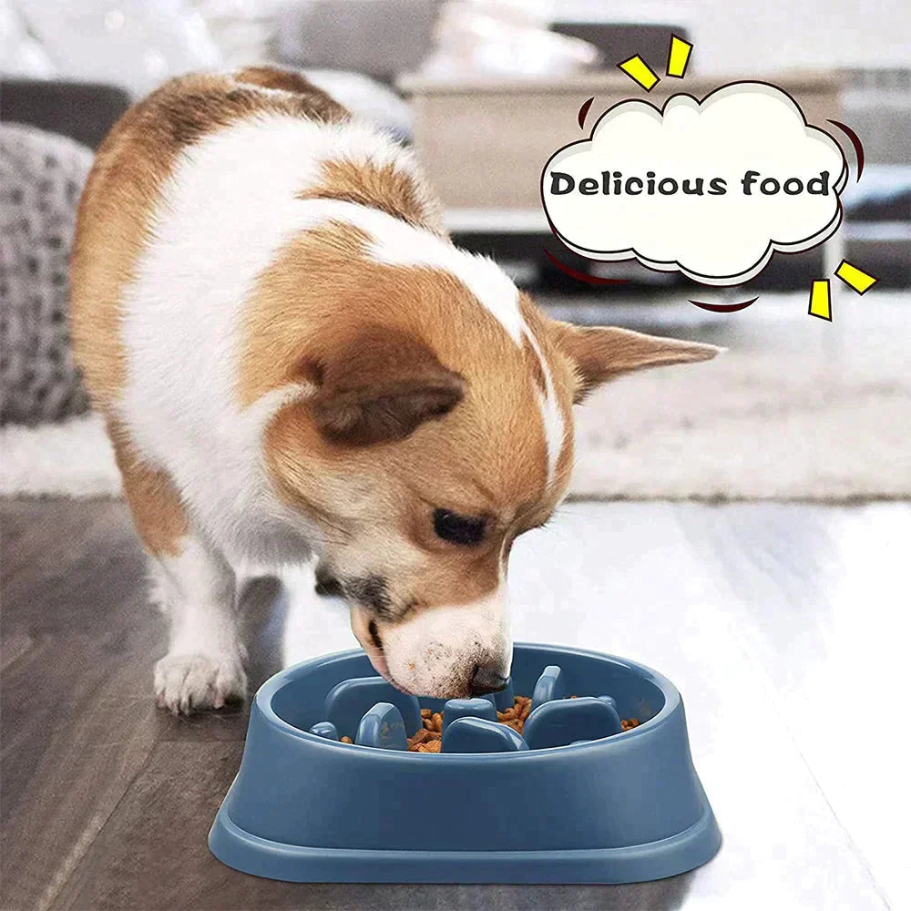 Pet Slow Feeder Bowl