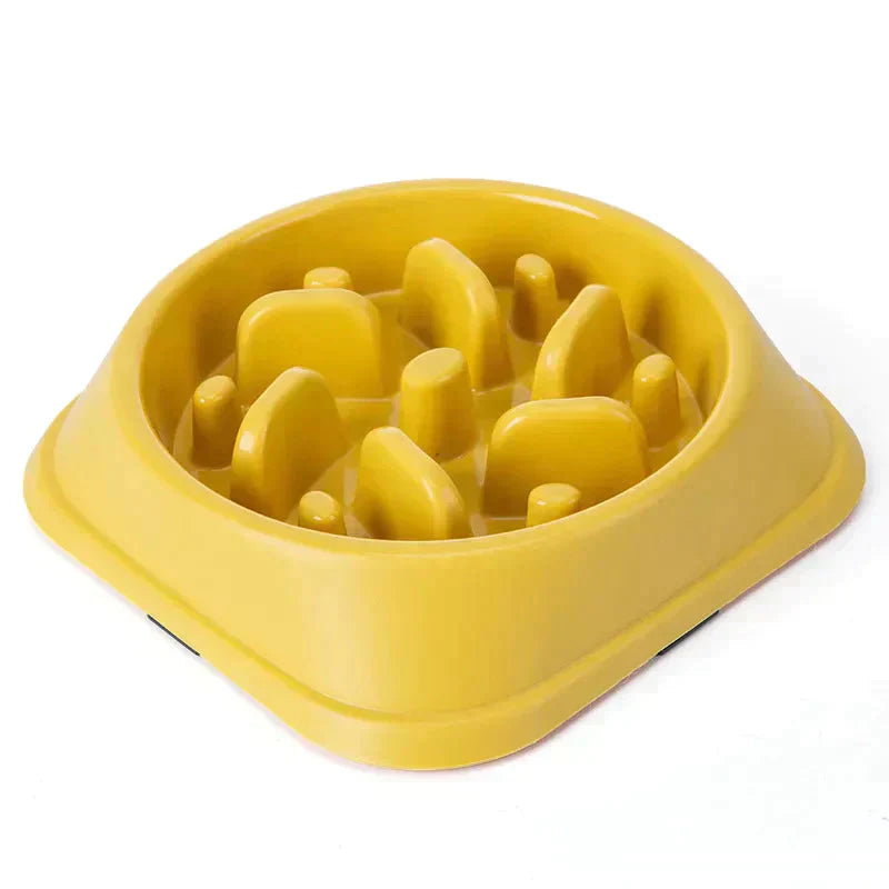 Pet Slow Feeder Bowl