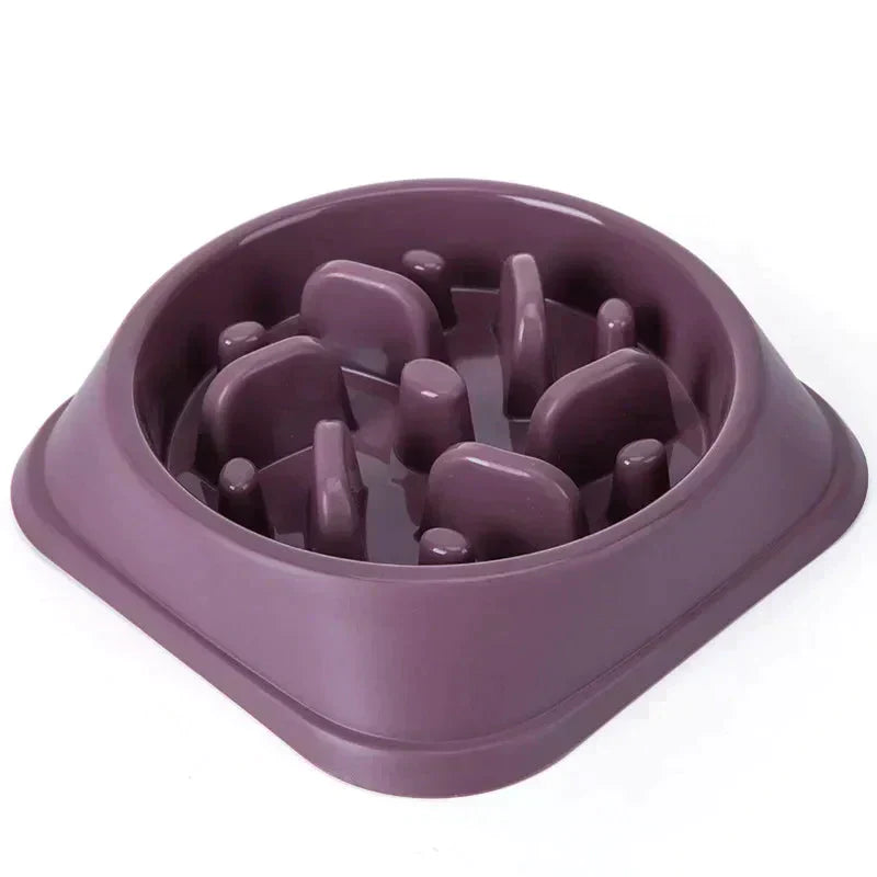 Pet Slow Feeder Bowl