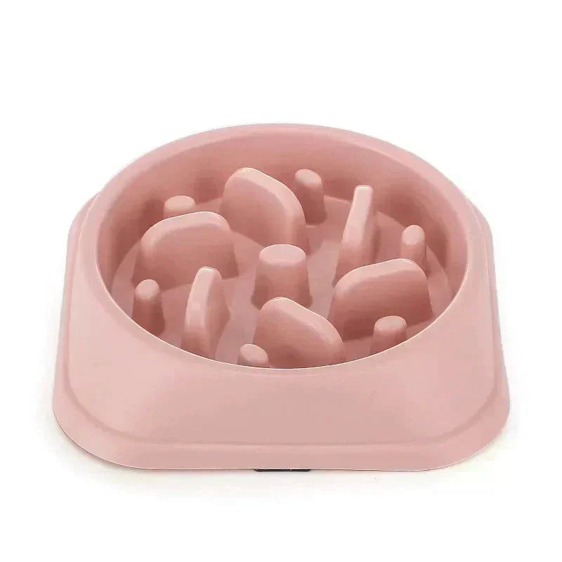 Pet Slow Feeder Bowl