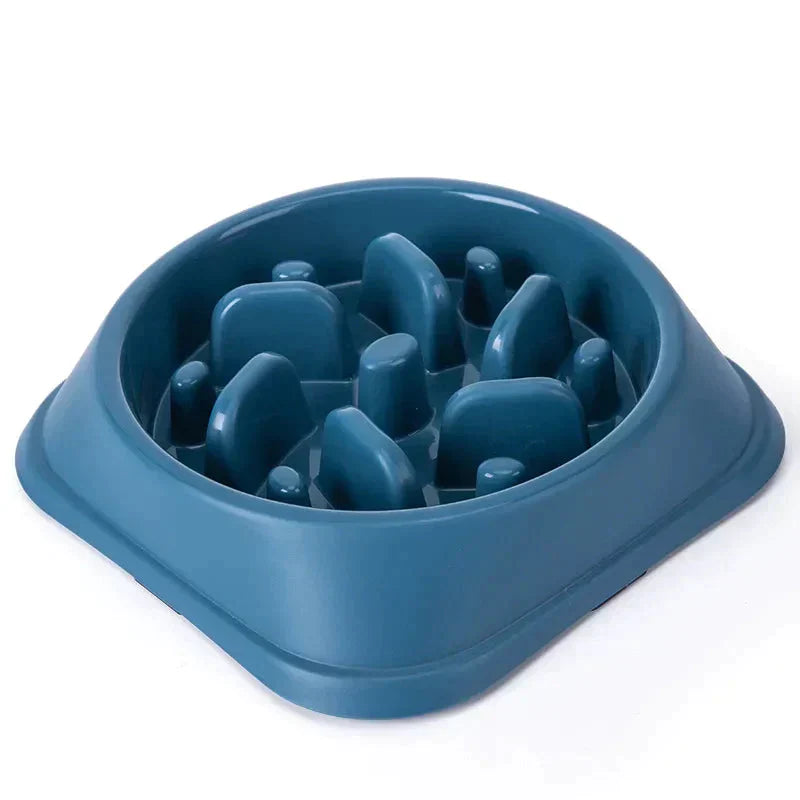 Pet Slow Feeder Bowl