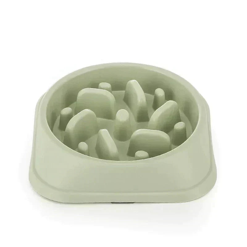 Pet Slow Feeder Bowl